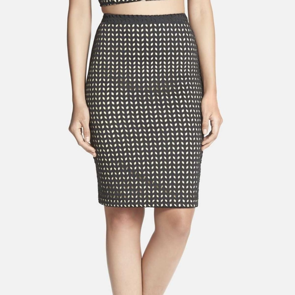 Whitney Eve Skirt. Worn Once. Size Small.